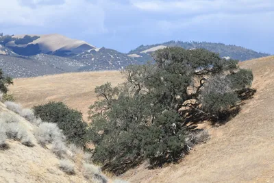 DSC_2309 (Large).JPG